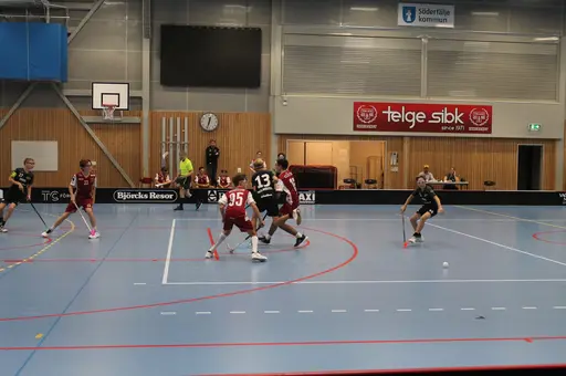 Träningsmatch