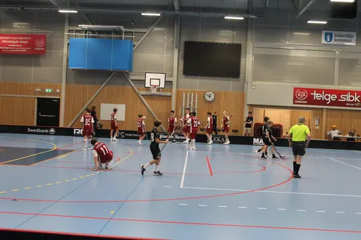Träningsmatch