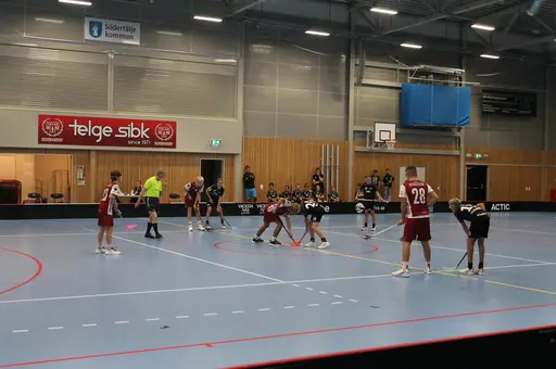 Träningsmatch
