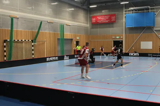 Träningsmatch