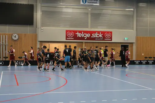 Träningsmatch