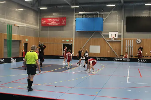 Träningsmatch