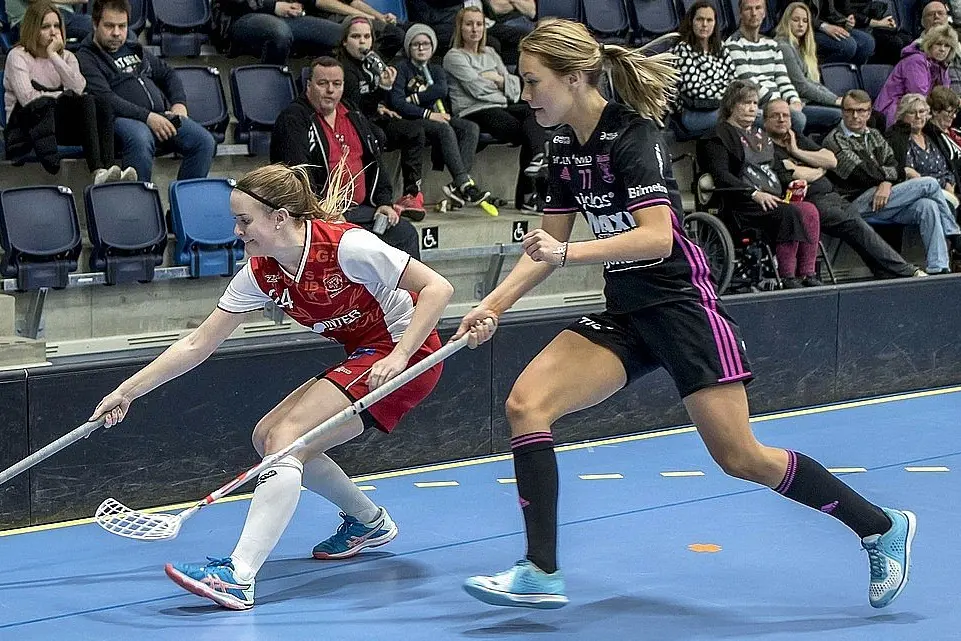 Madde i Falundressen