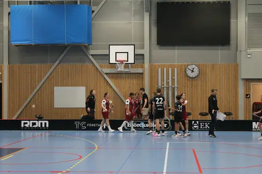 Träningsmatch