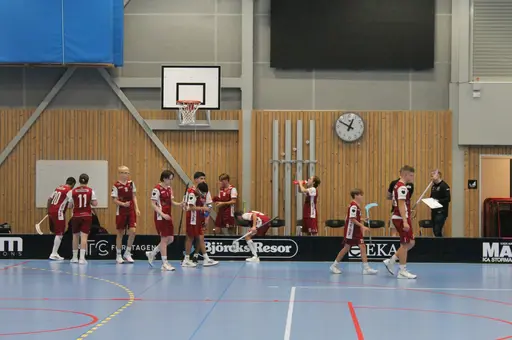 Träningsmatch