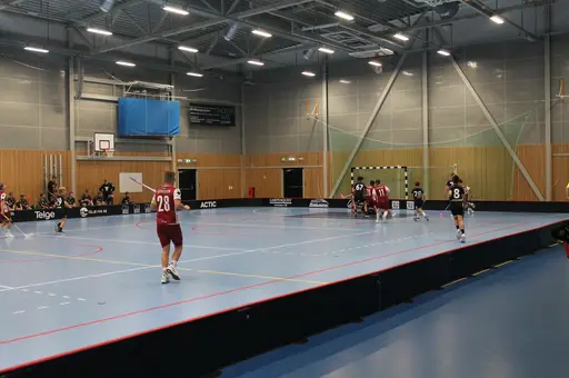 Träningsmatch