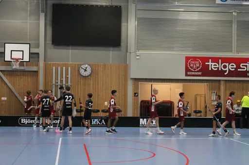 Träningsmatch