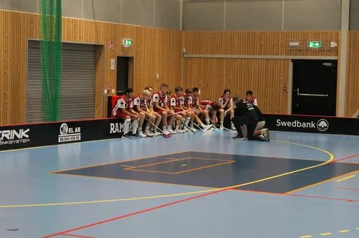Träningsmatch