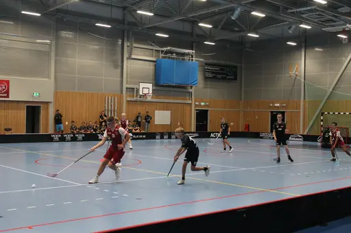 Träningsmatch