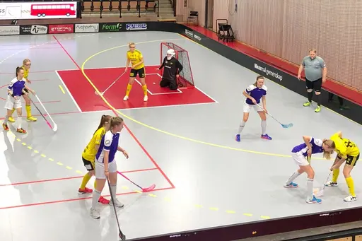Gula motståndare är Endre och blå/vita (till höger) är Linköping