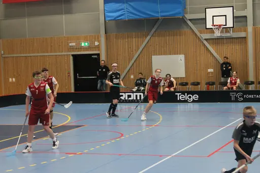 Hemma match mot Torshälla IBK