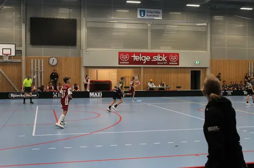 Träningsmatch
