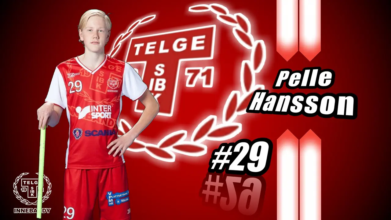 #29 Pelle Hansson