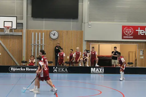 Träningsmatch