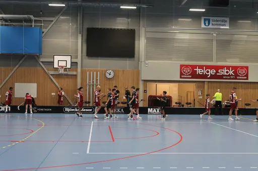 Träningsmatch