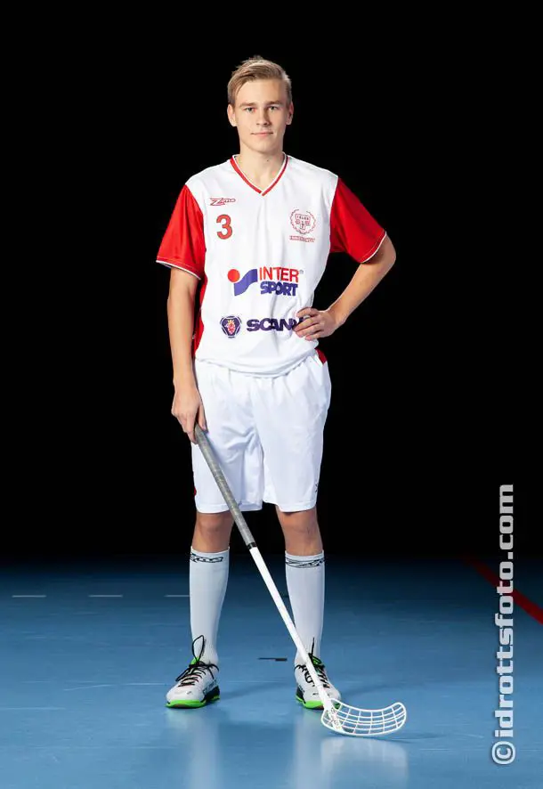 Theo Harmaala Hollsten