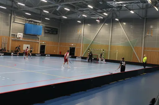 Träningsmatch