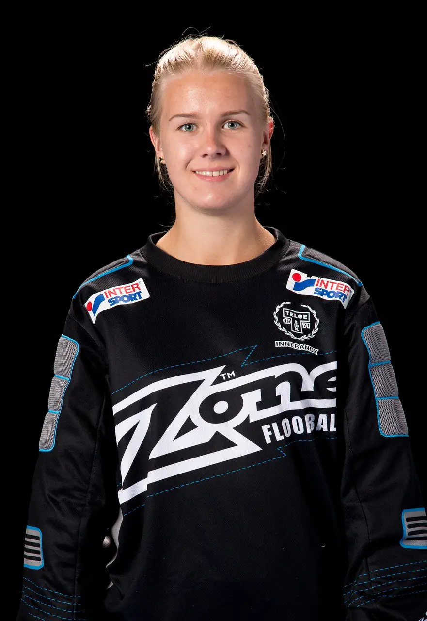Skogis