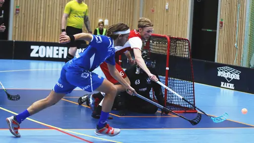 Fotograf: Anna Forsström