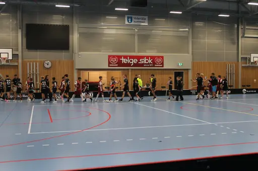 Träningsmatch