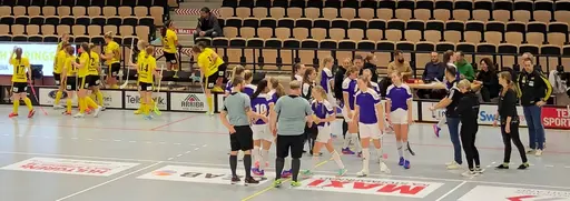 Gula motståndare är Endre och blå/vita (till höger) är Linköping