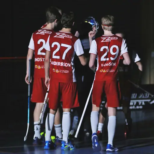 Fotograf: Anna Forsström