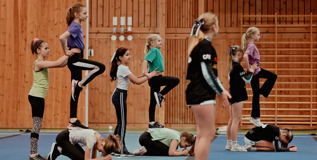 Bild från Cheer Unlimiteds juluppvisning
