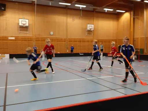Match i Haraldsbohallen mot IBF Säter