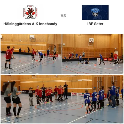 Match i Haraldsbohallen mot IBF Säter