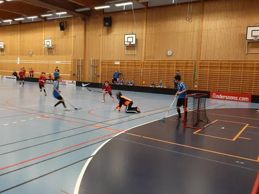 Tack till IBF Borlänge och till domarna för dagens match..