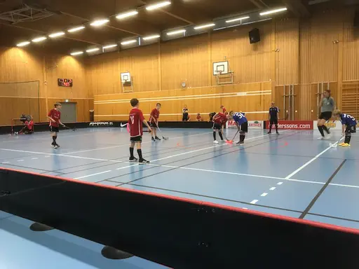 Match i Haraldsbohallen mot IBF Säter