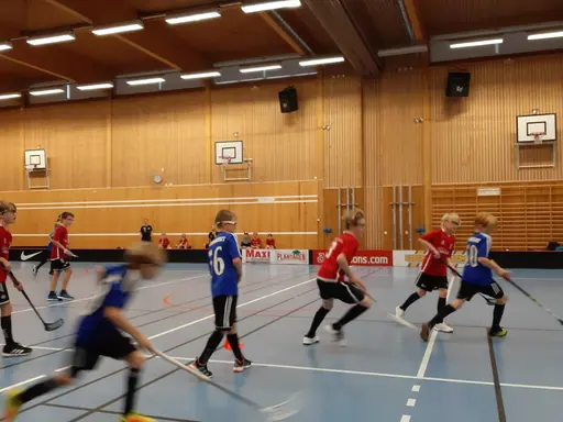 Match i Haraldsbohallen mot IBF Säter