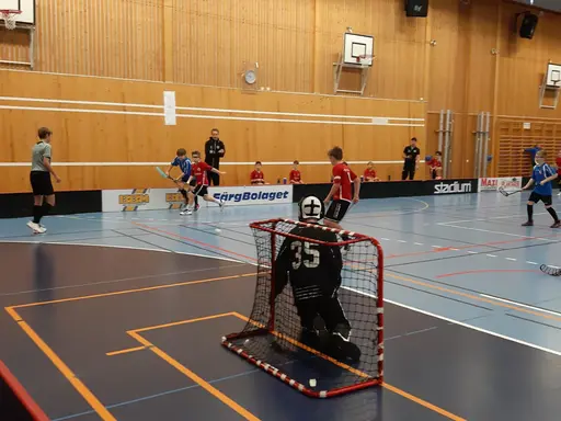 Tack till IBF Borlänge och till domarna för dagens match..