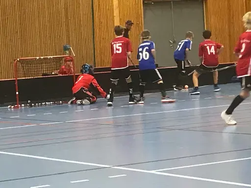 Match i Haraldsbohallen mot IBF Säter