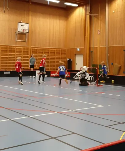 Match i Haraldsbohallen mot IBF Säter