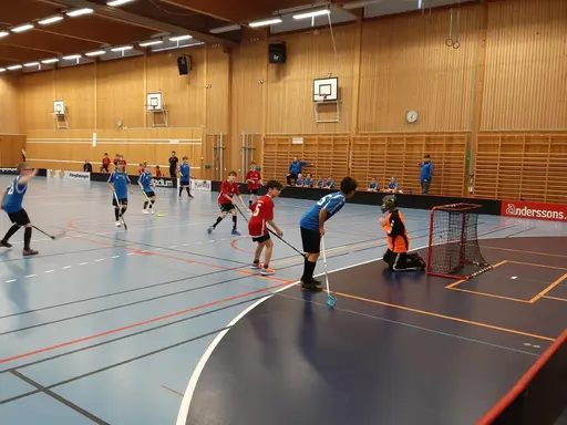 Tack till IBF Borlänge och till domarna för dagens match..