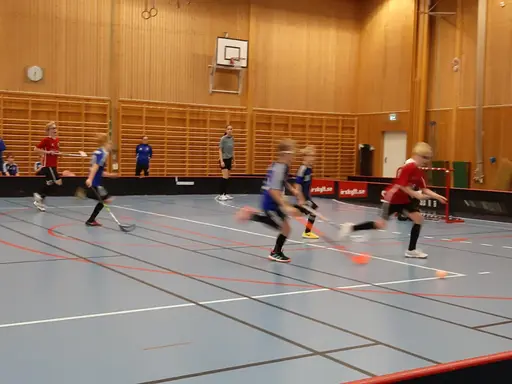 Match i Haraldsbohallen mot IBF Säter