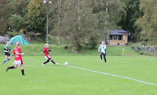 Efter matchen mot Grönahög firades seriesegern