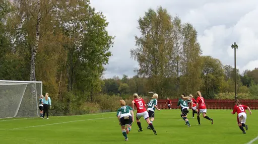 Efter matchen mot Grönahög firades seriesegern