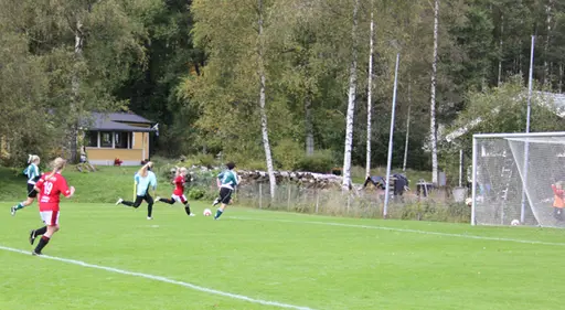 Efter matchen mot Grönahög firades seriesegern