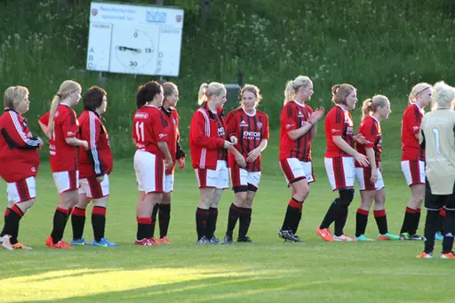 Matchen slutade med förlust, 4-5.