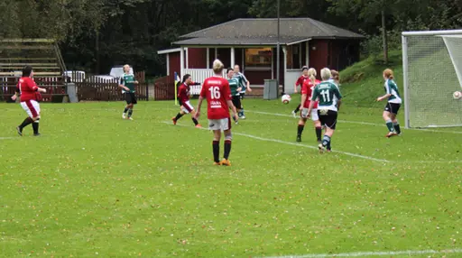Efter matchen mot Grönahög firades seriesegern