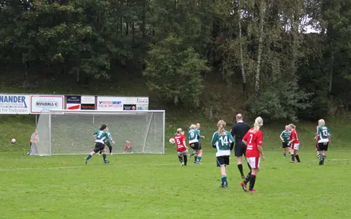 Efter matchen mot Grönahög firades seriesegern