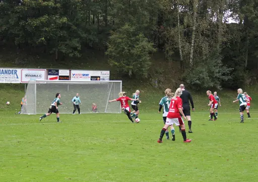 Efter matchen mot Grönahög firades seriesegern
