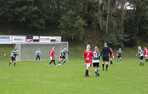 Efter matchen mot Grönahög firades seriesegern