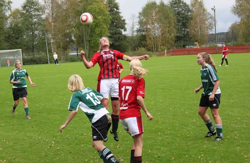 Efter matchen mot Grönahög firades seriesegern