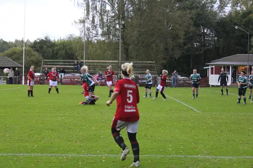 Efter matchen mot Grönahög firades seriesegern