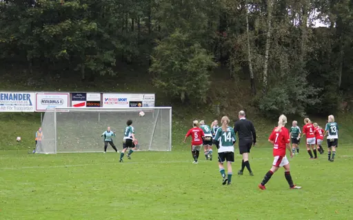 Efter matchen mot Grönahög firades seriesegern