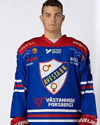 Filip Ström bidrar med stabilitet och gör sällan en dålig match.