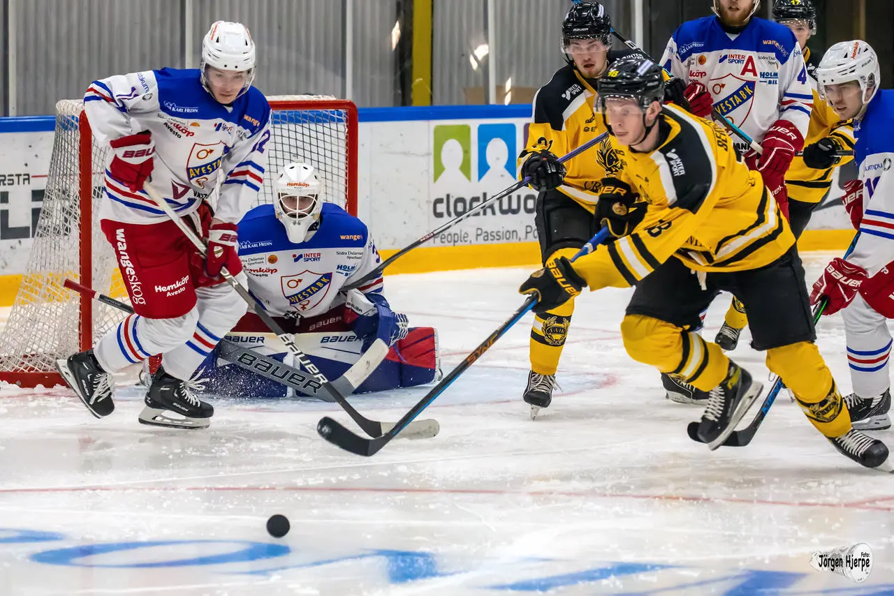 Avestamålvakten Lucas Johansson har fått 229 skott på sig och räddat 197 av dessa. Arkivfoto: Jörgen Hjerpe.